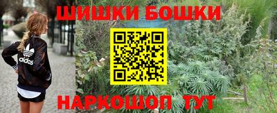 стаф Можга