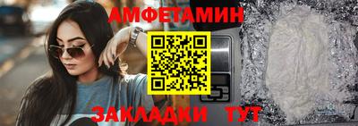 стаф Можга