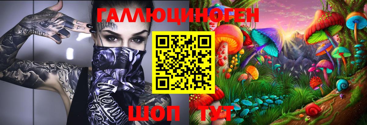 Сунжа  Галлюциногенные грибы мицелий  Вход с VPN 